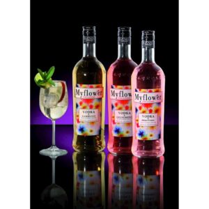 Bagnoli Vodka & Gelsomino 1 lt