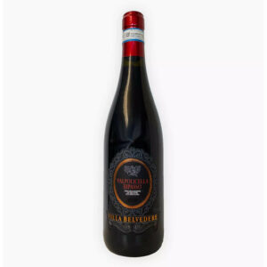 Valpolicella Ripasso 2019 (75 cl) - Villa Belvedere