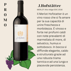 "MERLOT Alto Adige DOC 2016 (75 cl)" - J. Hofstatter